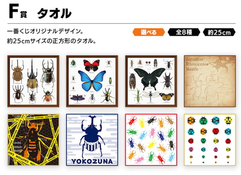 昆虫界の“魔王”vs“勇者”リッキー！「一番くじ昆虫 世界の昆虫だ