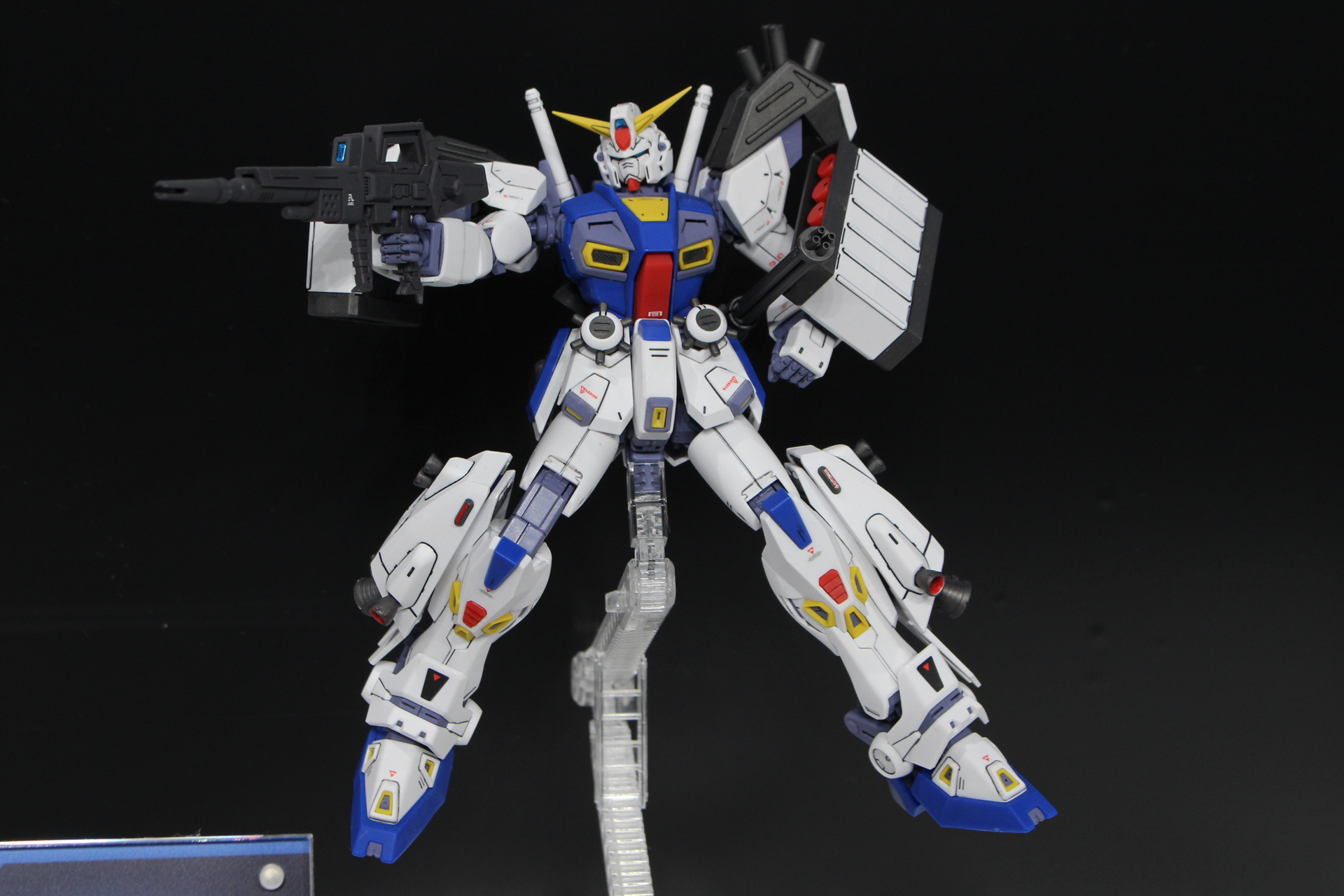 「Dタイプ＆Gタイプ」。接近・制圧戦仕様のD（デストロイド）タイプと、警備・護衛仕様のGタイプ（ガード）タイプのセット