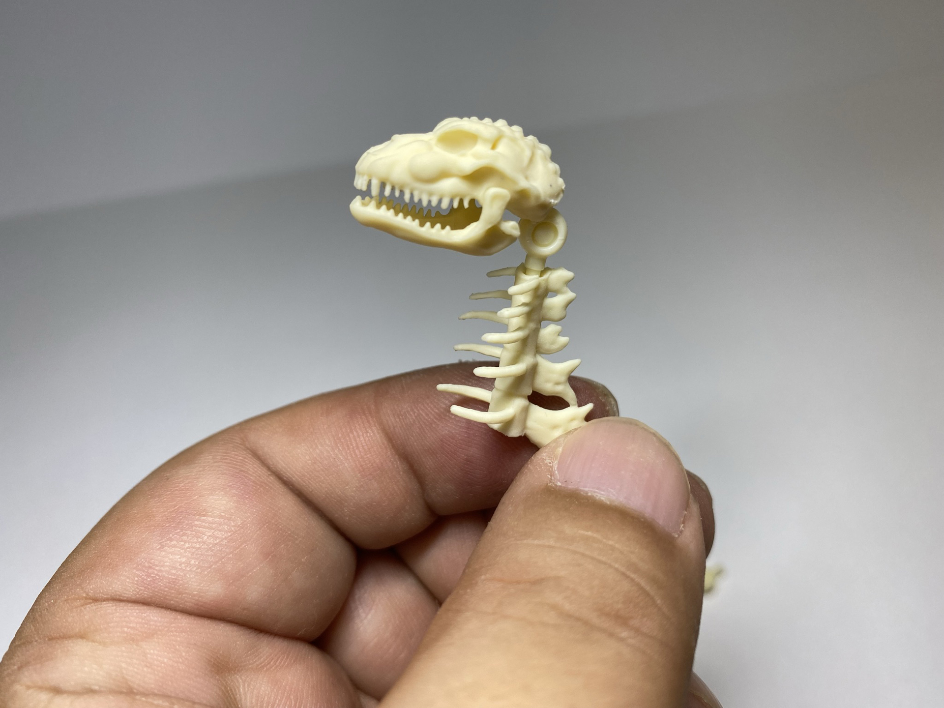 首の骨と頭部を接続する。背骨と目の上の膨らみで「ゴジラ」だとはっきりわかるのが面白い