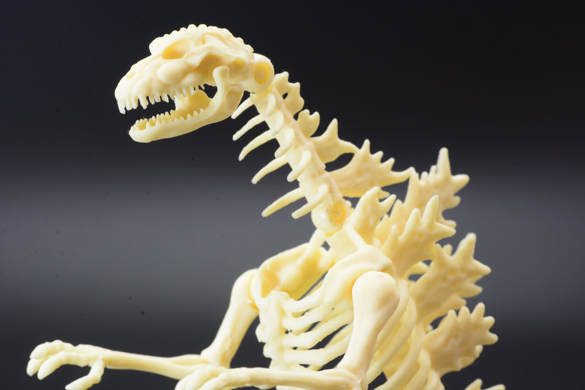 各部の骨格ならではのモールドや、ゴジラらしさをチェック