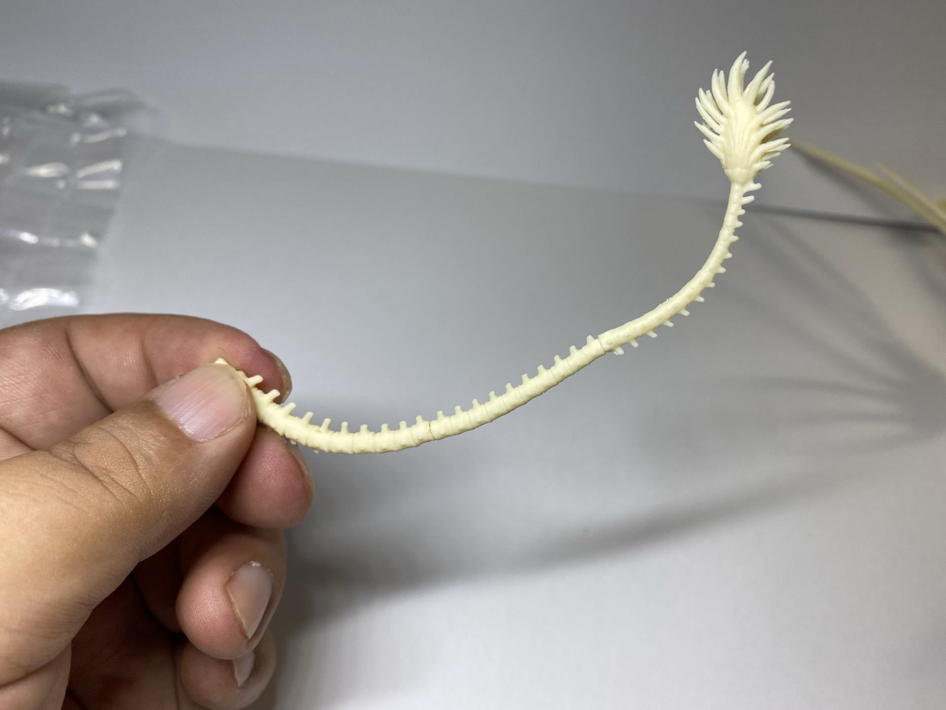 特徴的な先端のふさふさした感じを表現している尻尾パーツ