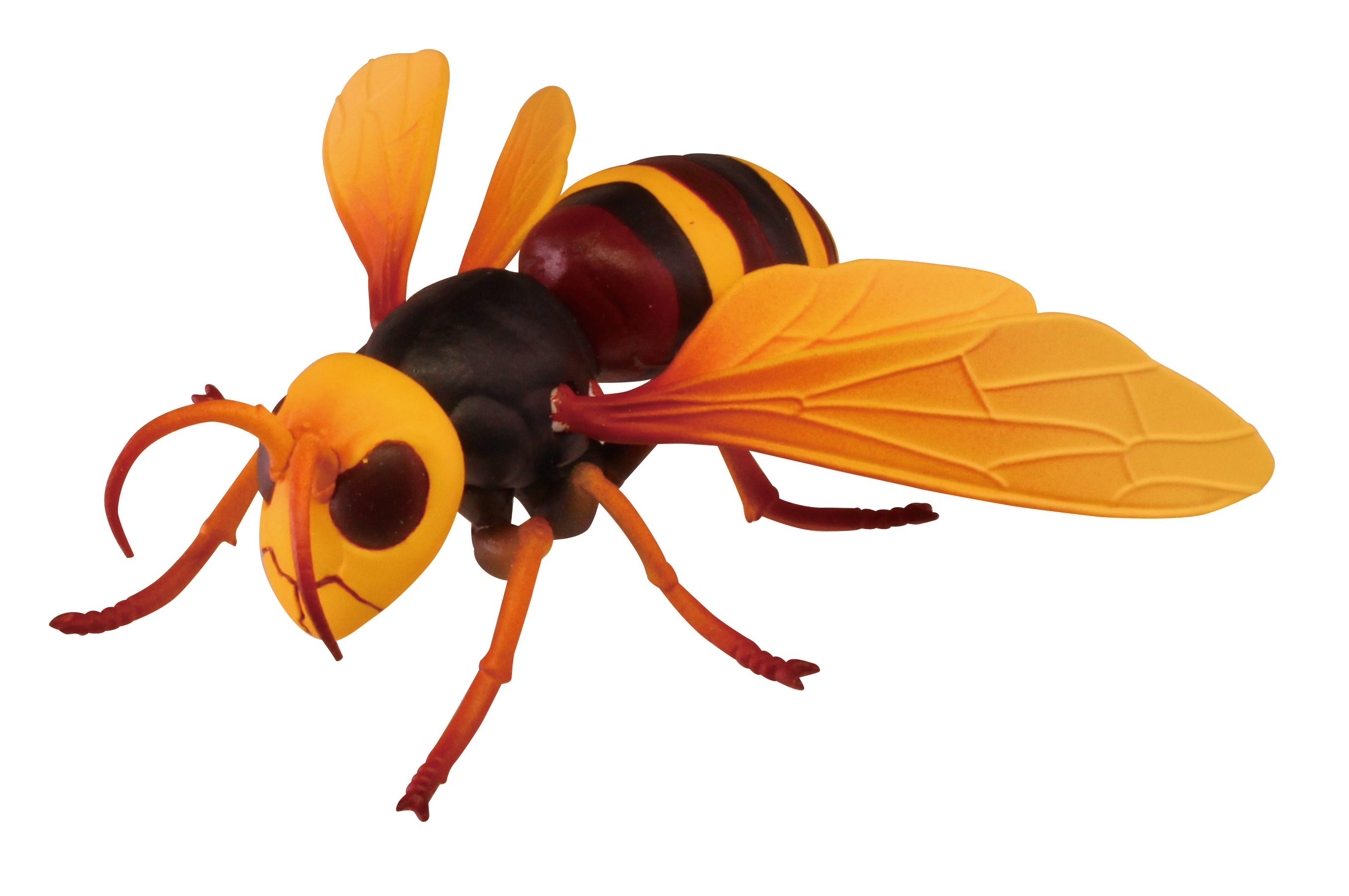 頭・羽が可動する