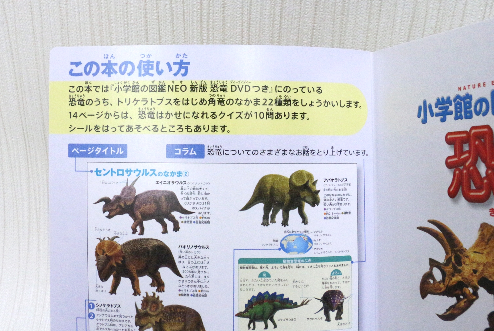 トリケラトプスの仲間を解説