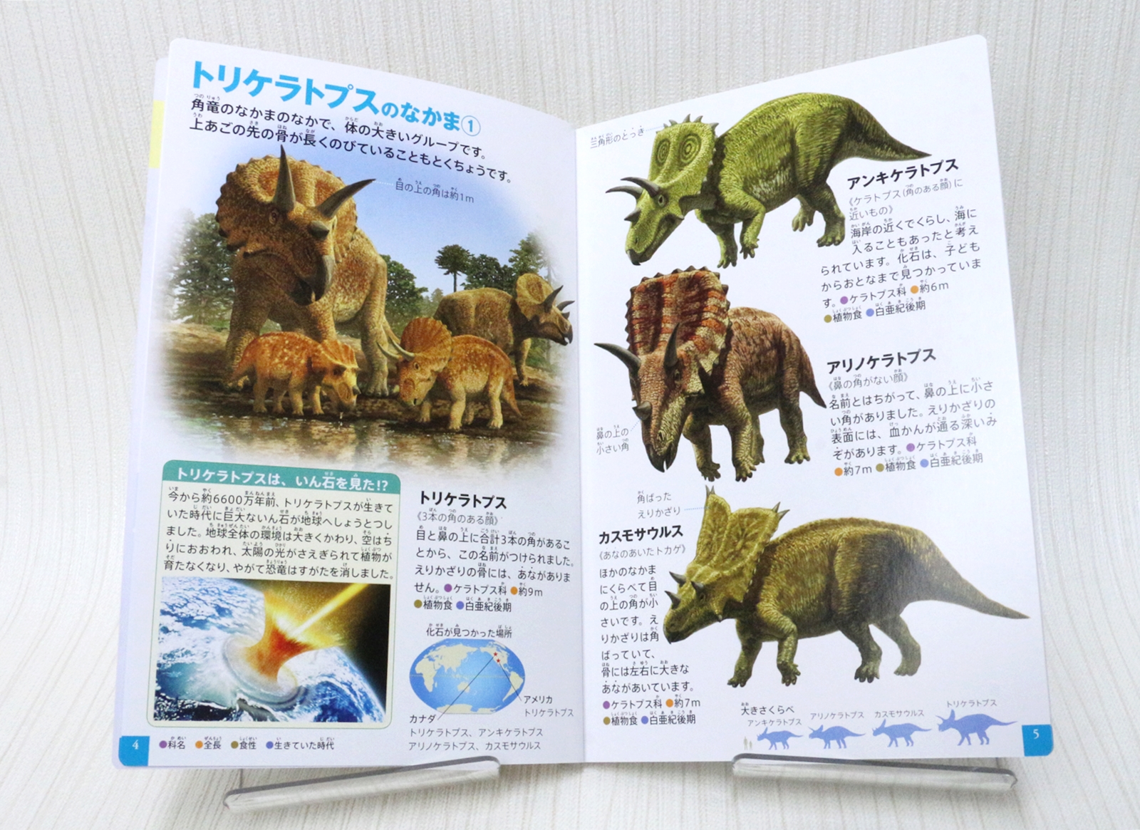 トリケラトプスの仲間を解説