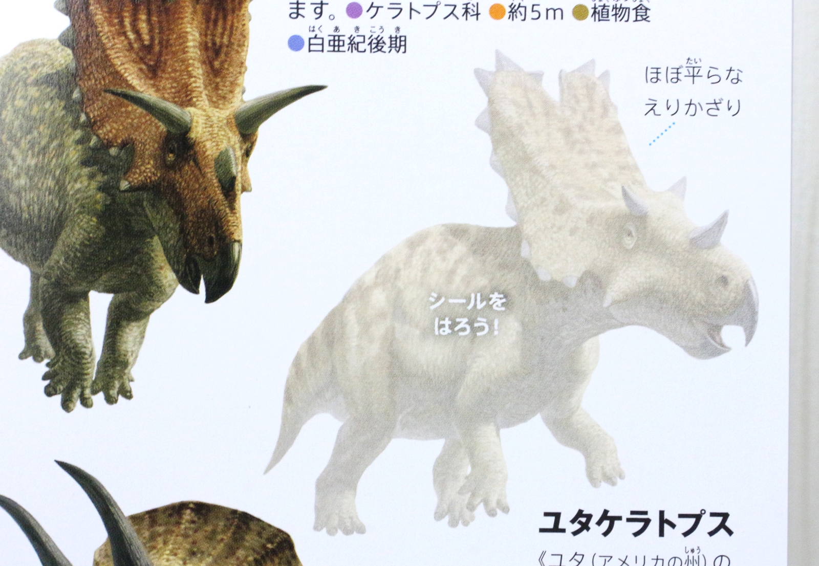 ユタケラトプスのシールを貼る場所