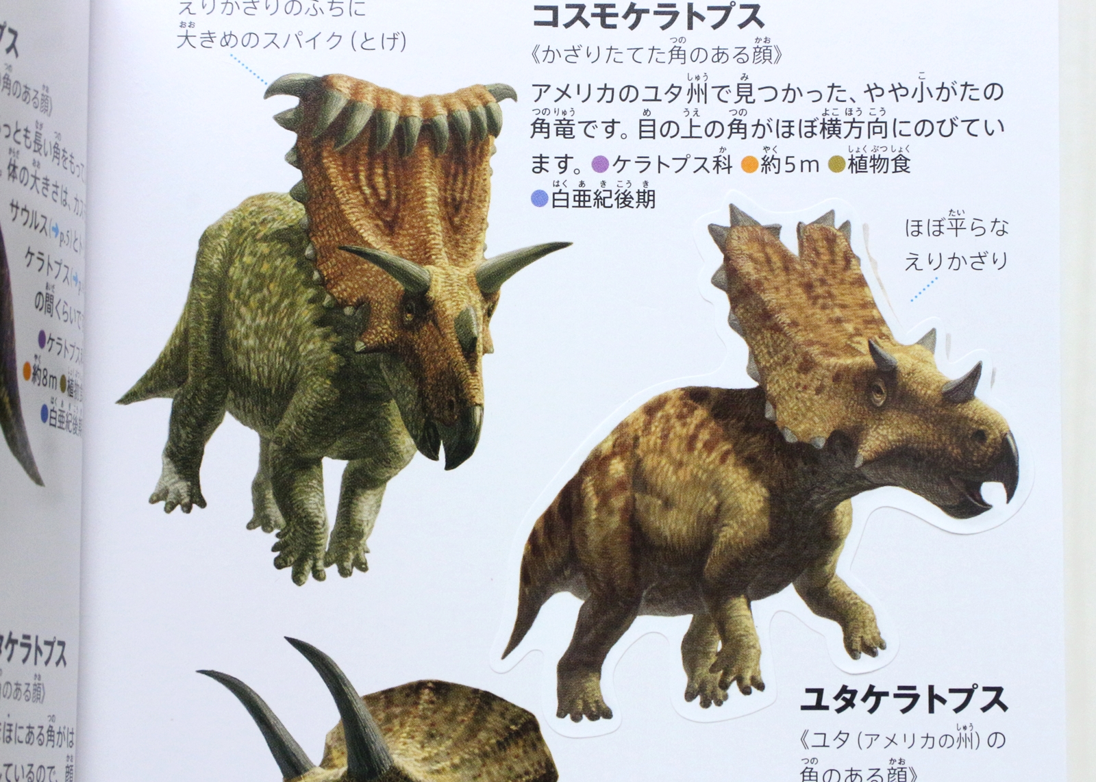 少しズレてしまったが完成！