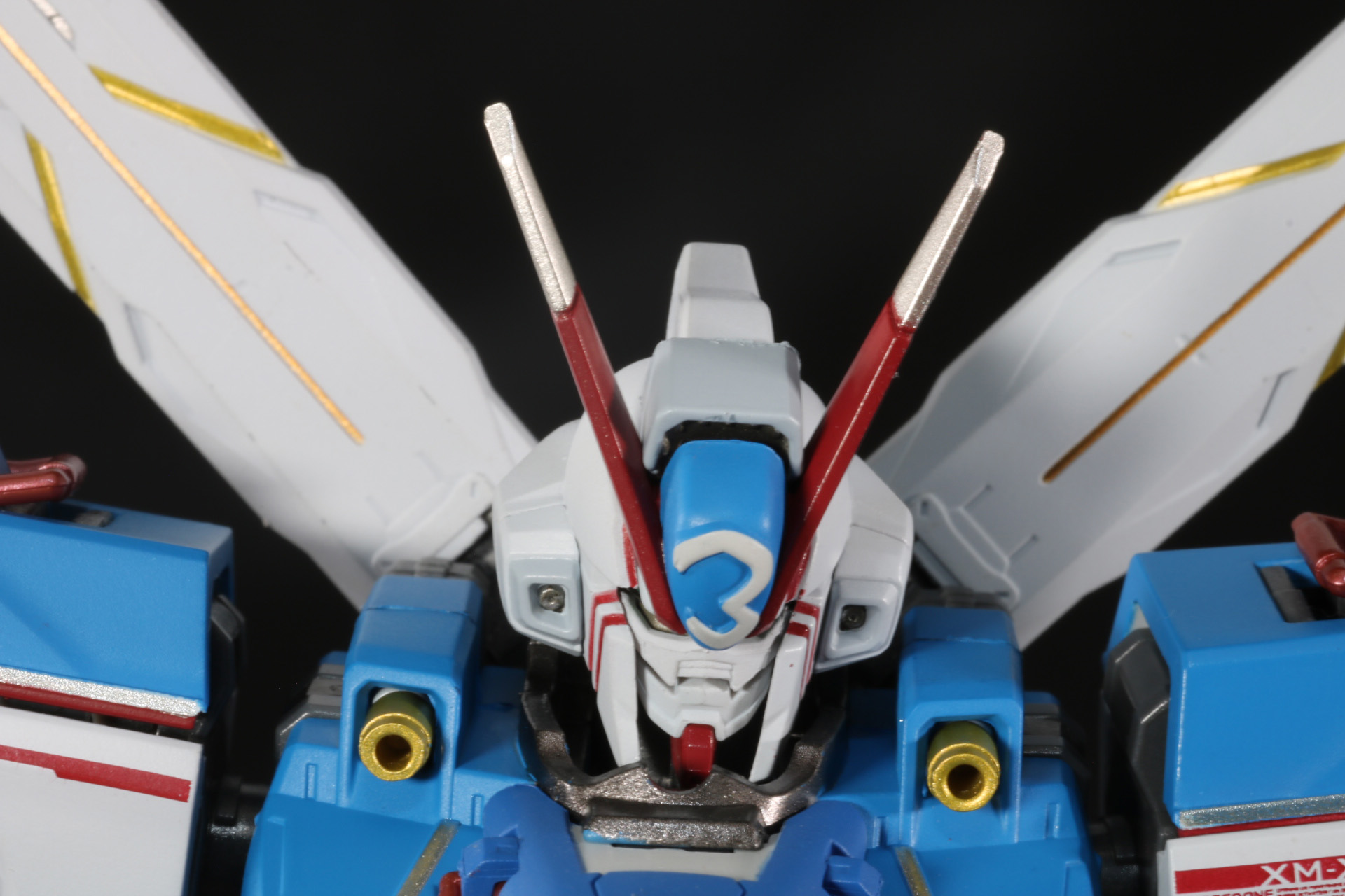 頭部は左右への動きと若干の上向きが可能