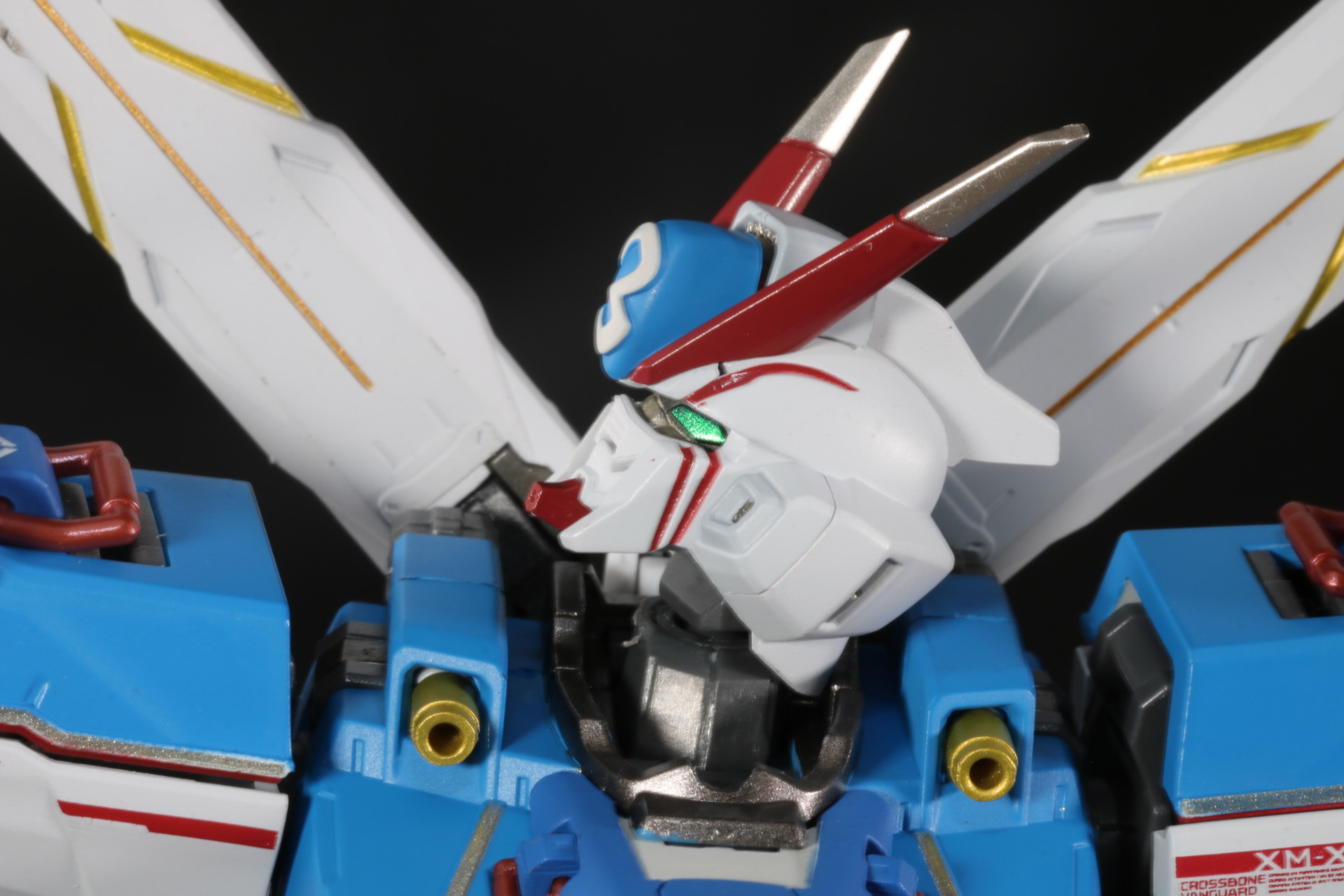 頭部は左右への動きと若干の上向きが可能