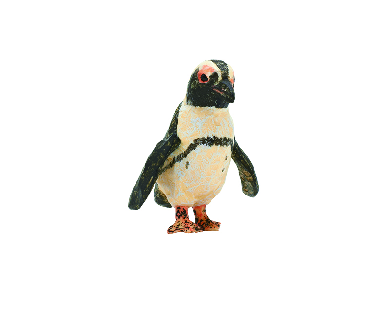 ケープペンギン