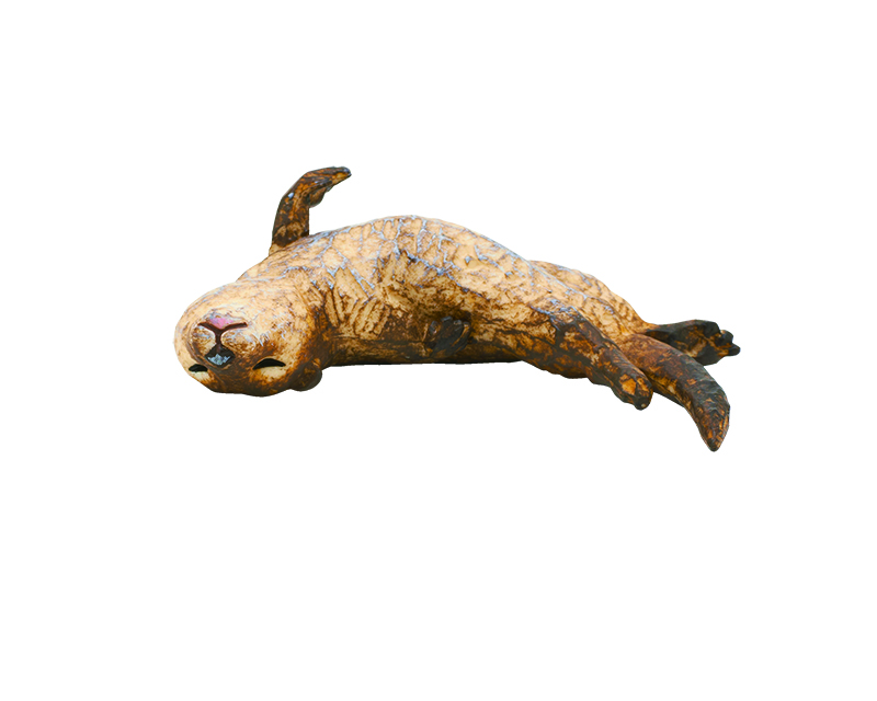 コツメカワウソ