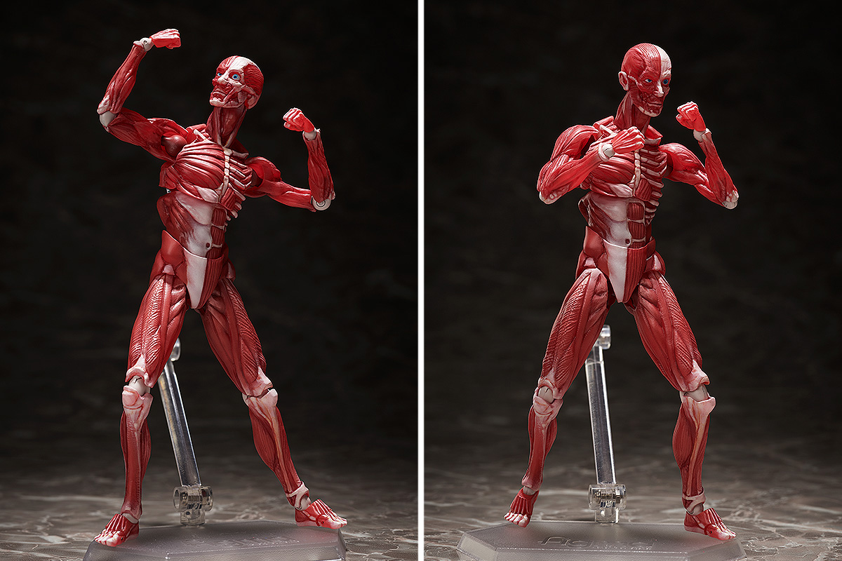 要所に軟質素材を使用することで、プロポーションを崩さず可動域を確保。さまざまなシーンを可能にする可動支柱付きのfigma専用台座が同梱する