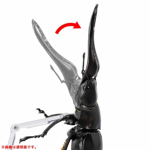 画像は「RG007 リボジオ ギラファノコギリクワガタ」