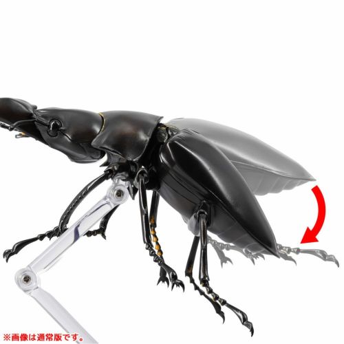 画像は「RG007 リボジオ ギラファノコギリクワガタ」