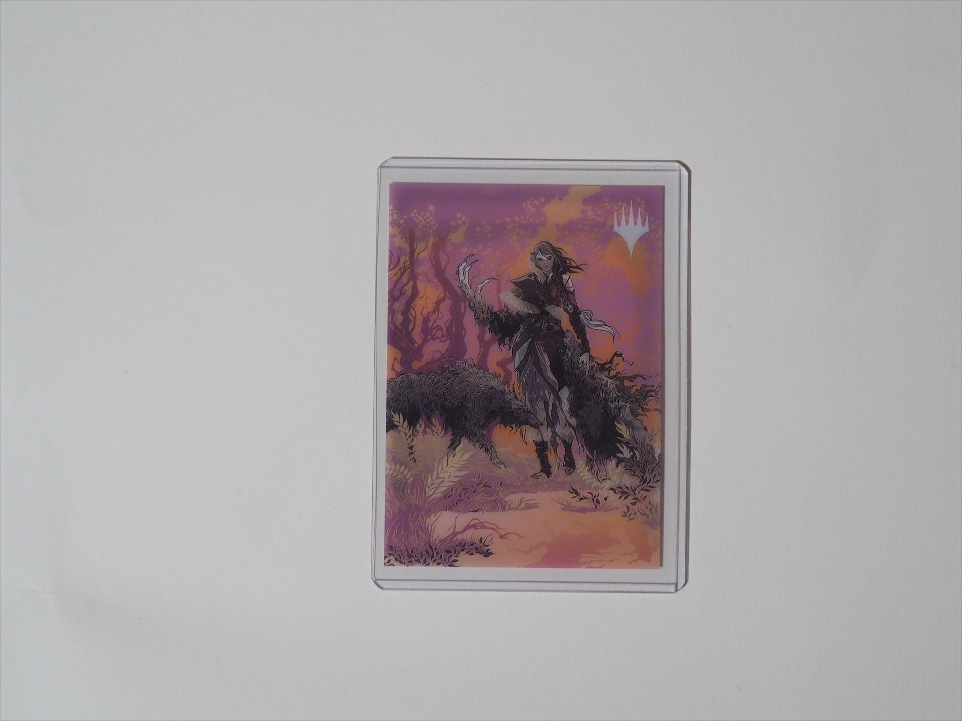 サイドローダーの裏面