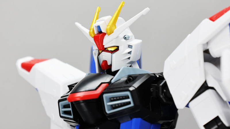 頭部がほんのちょっとだけ大きいイメージでしょうか