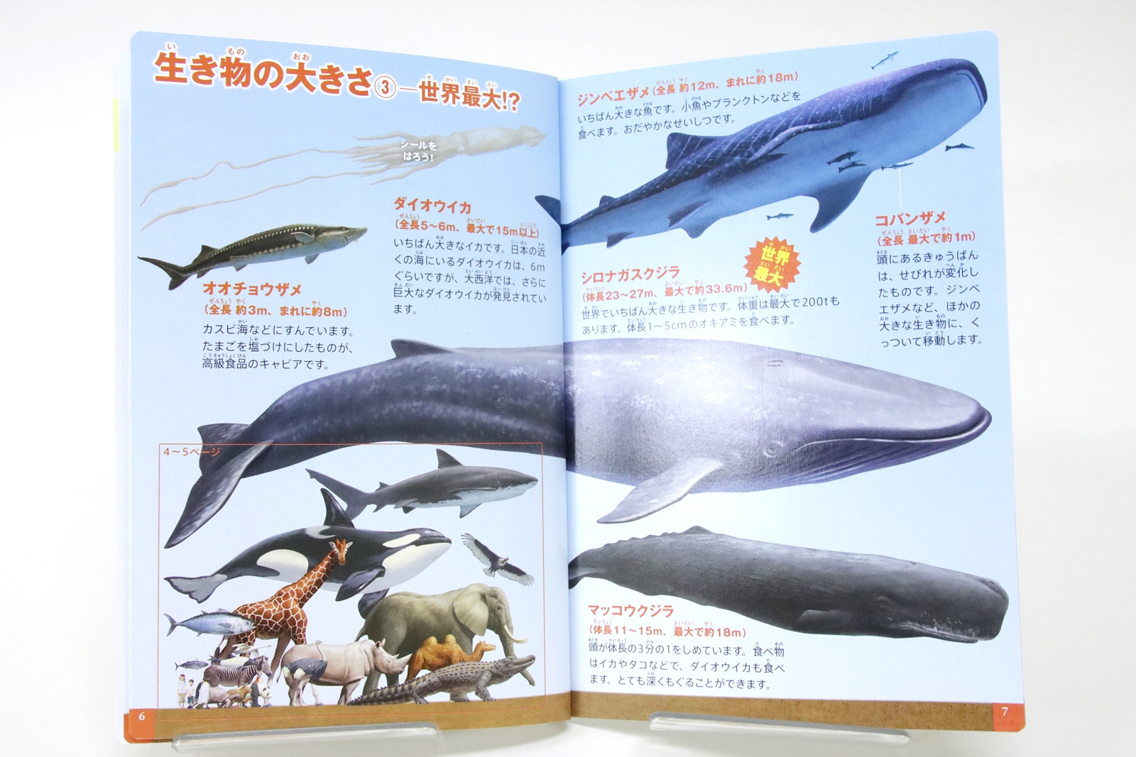 こちらは生き物の「お尻」ではなく「しっぽ」特集