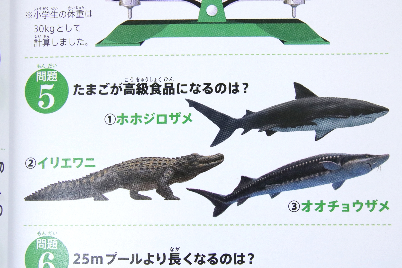 中には面白いクイズも。ヒントは世界三大珍味の1つ