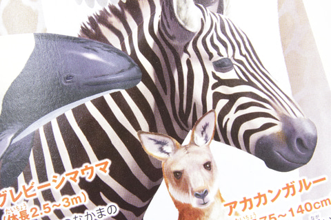 特別企画 ほんのハッピーセット 新作絵本 ぽんぽのだいじなともだち ミニ図鑑 くらべる図鑑 生き物編 を一足先に読んでみた 元気がでないときに読みたい たぬきの友情の物語 が新登場 Hobby Watch