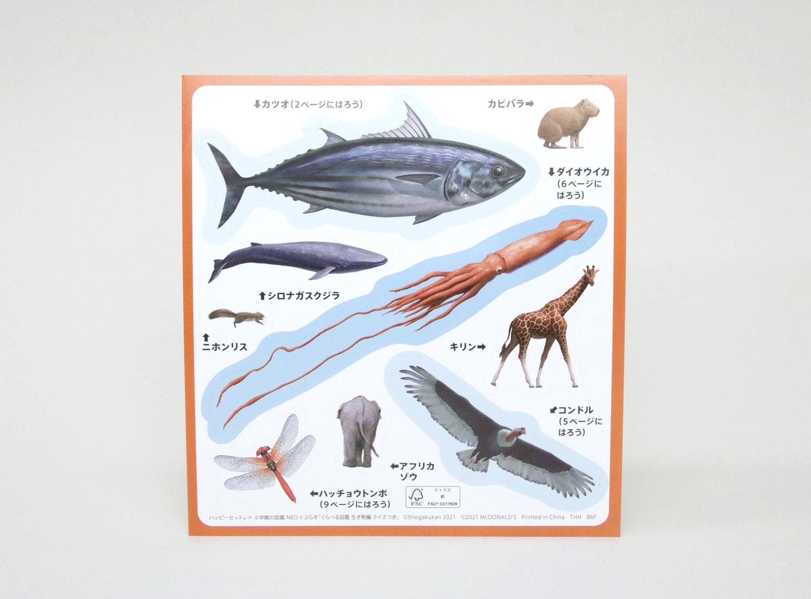 シールによっては名前のほかに貼る場所が指示されている