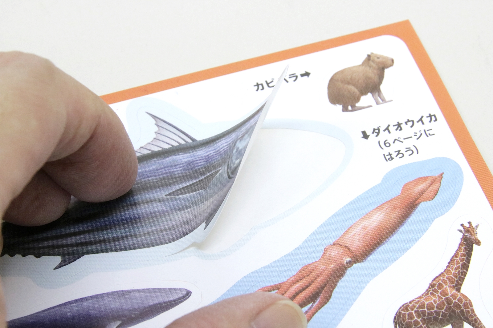 ページ内にも「シールをはろう！」と貼る場所が記載されている