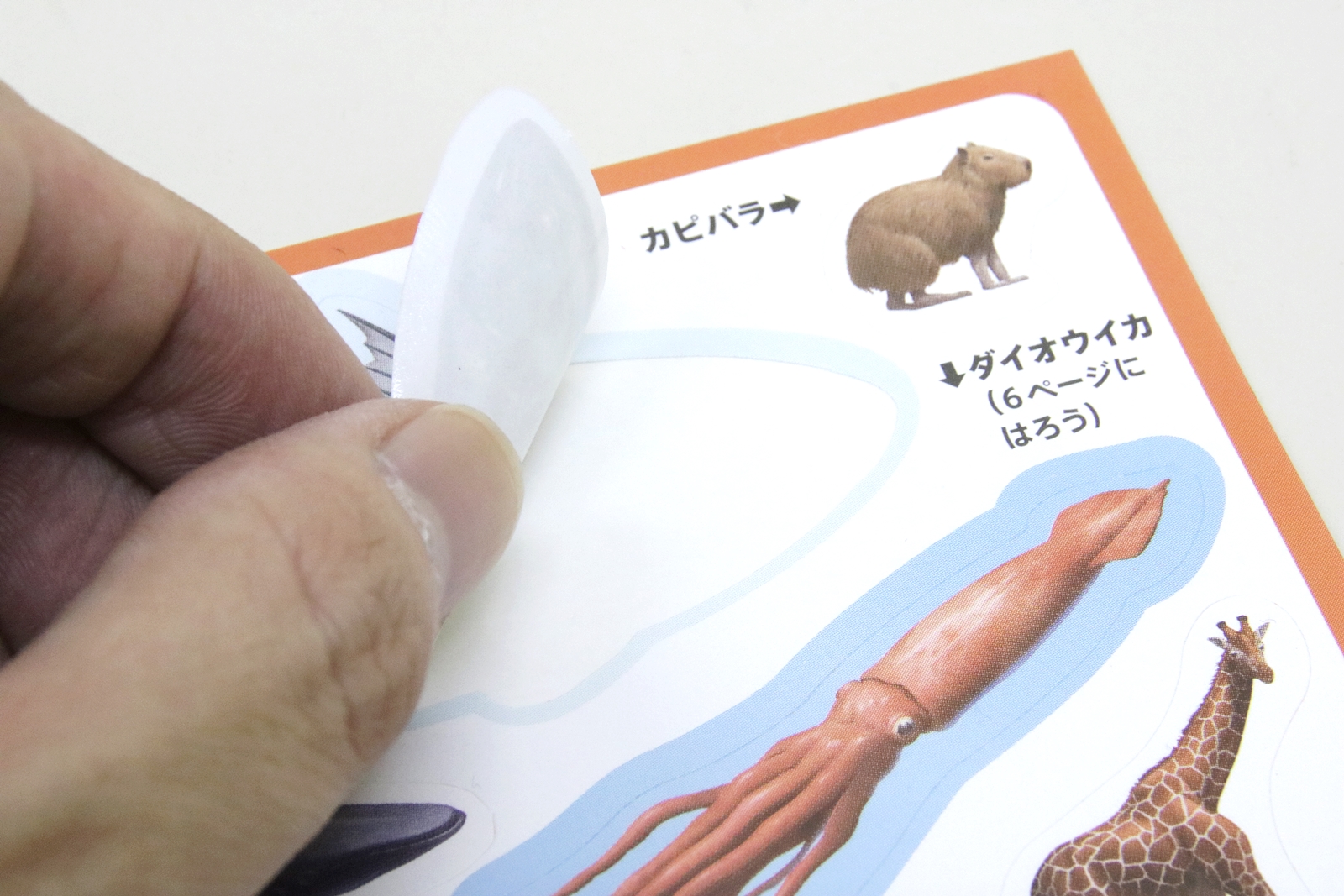 「カツオ」のシールを貼ってみる