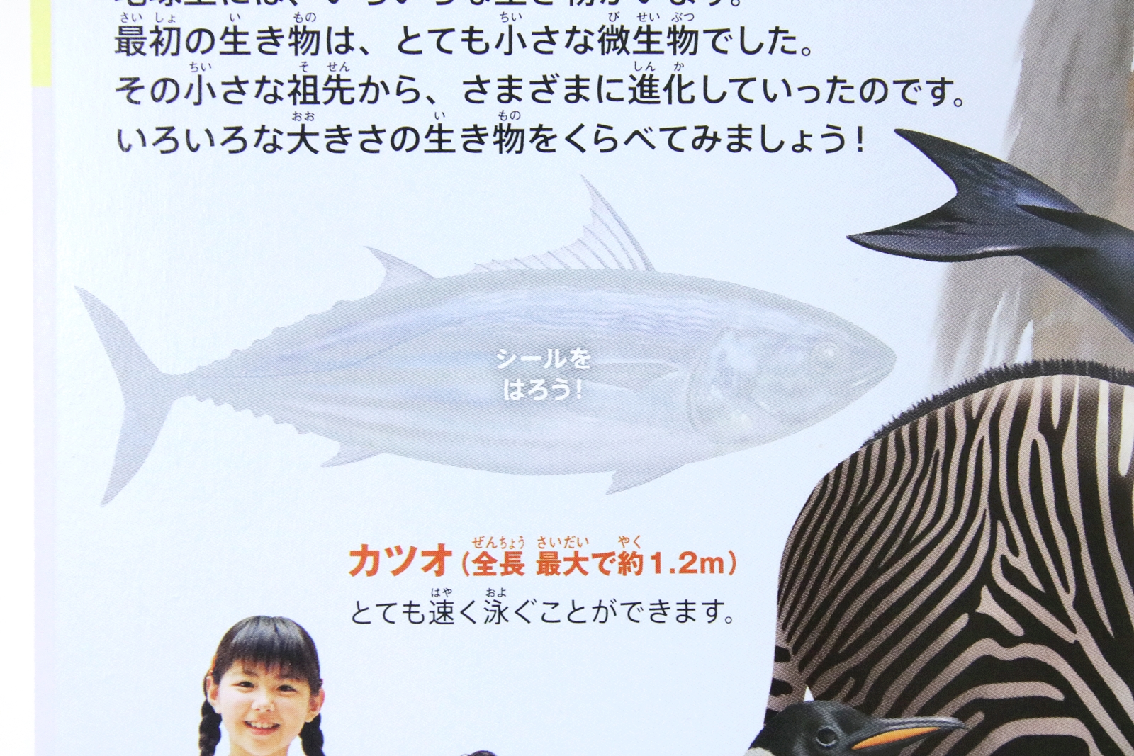 ページ内にも「シールをはろう！」と貼る場所が記載されている