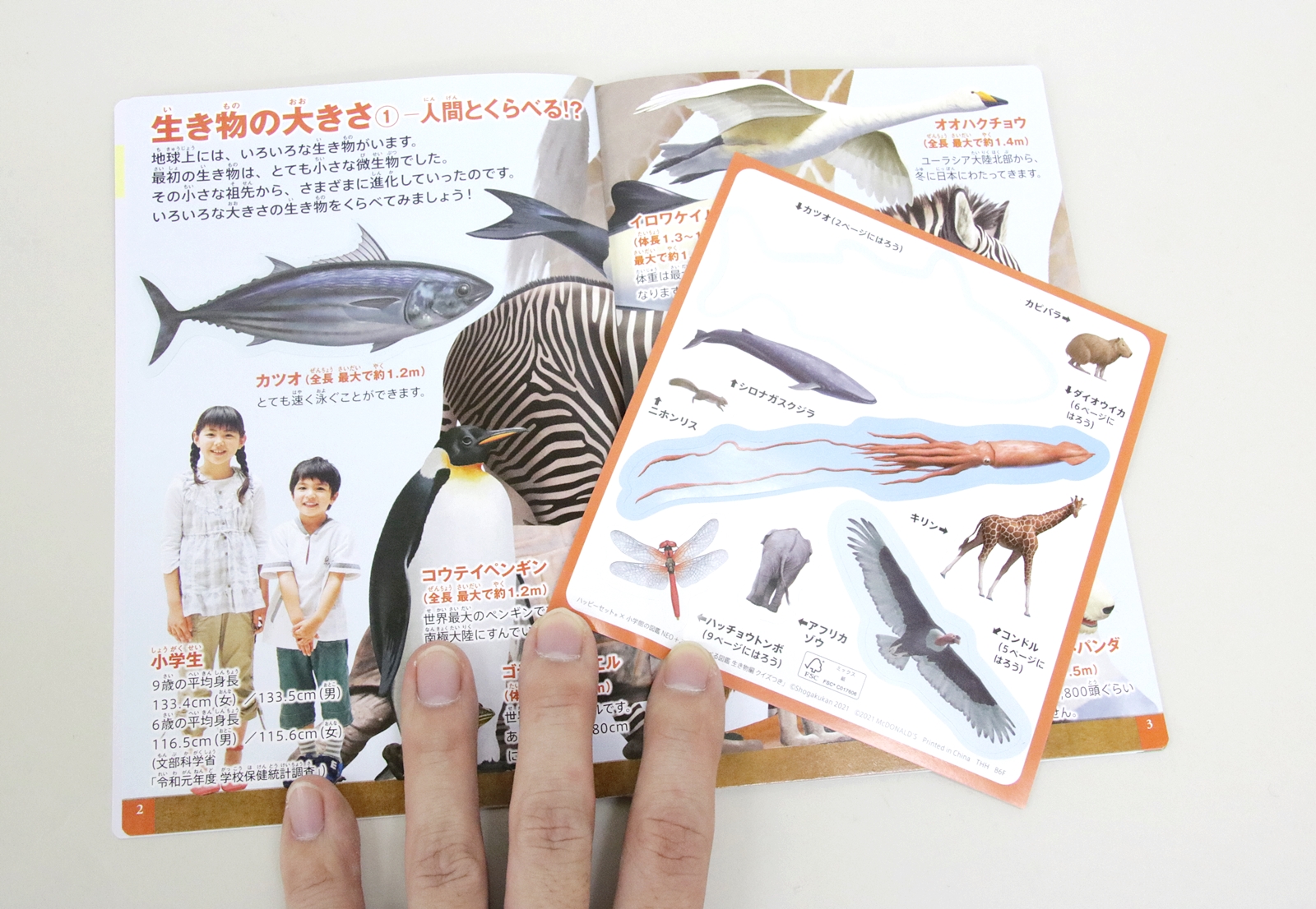 「キリン」や「シロナガスクジラ」などは自由に貼れるシール