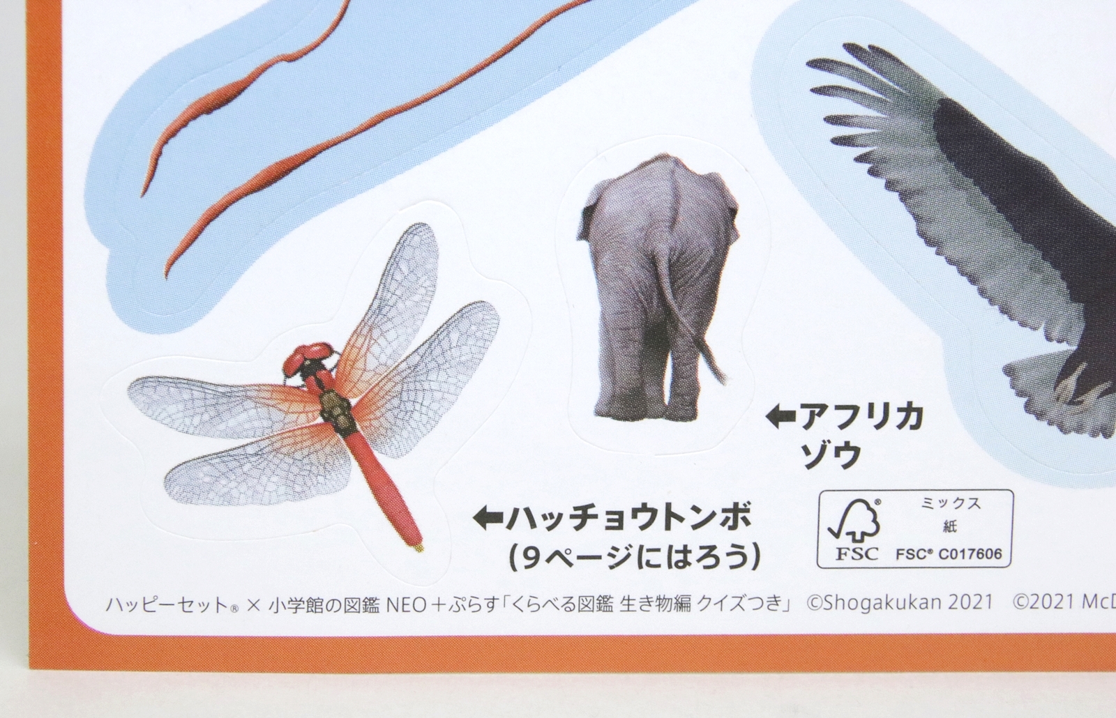 特に「アフリカゾウ」のシールはどこに貼っても楽しそうだ