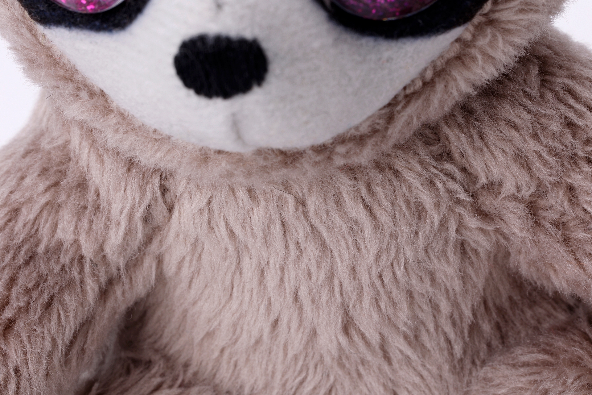 ナマケモノは毛が長めでモフモフ感が強い