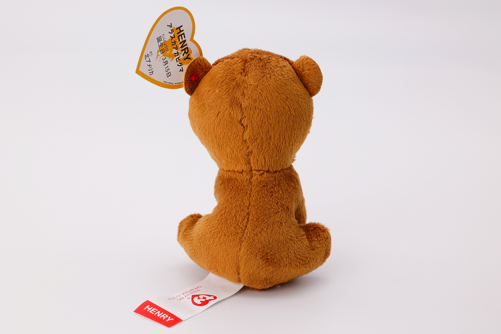 尻尾はないが、後ろ姿はまさしくぬいぐるみのクマさんだ