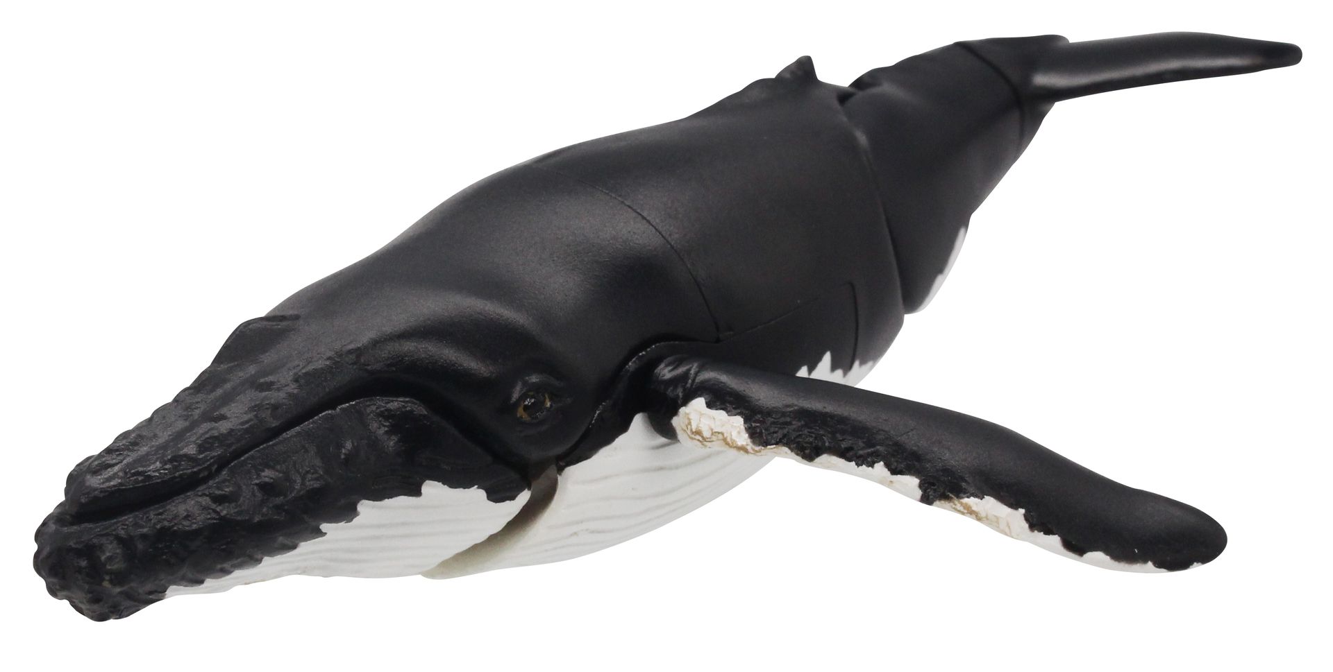 胸びれ、尾びれ、口が可動