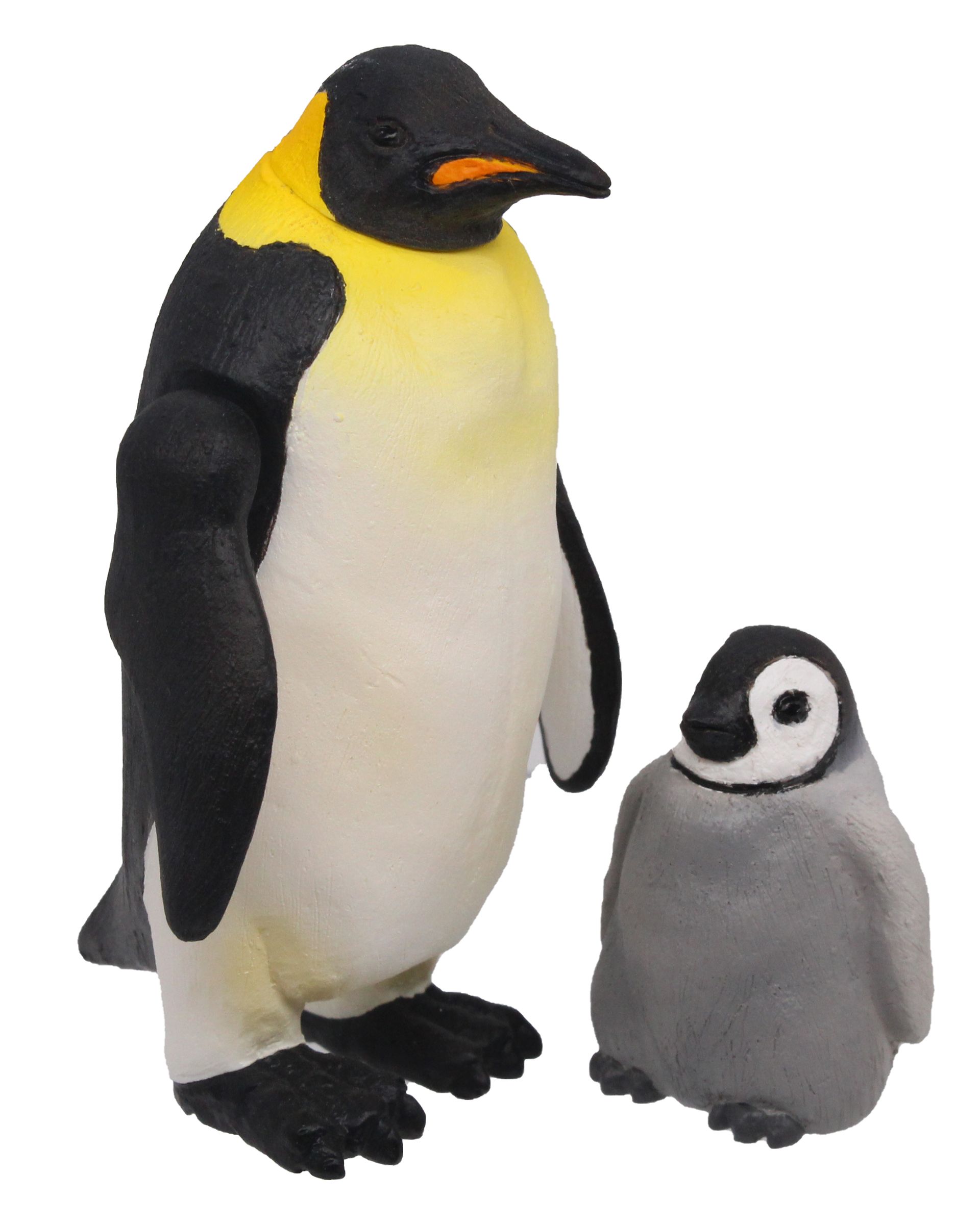 成鳥の翼が可動