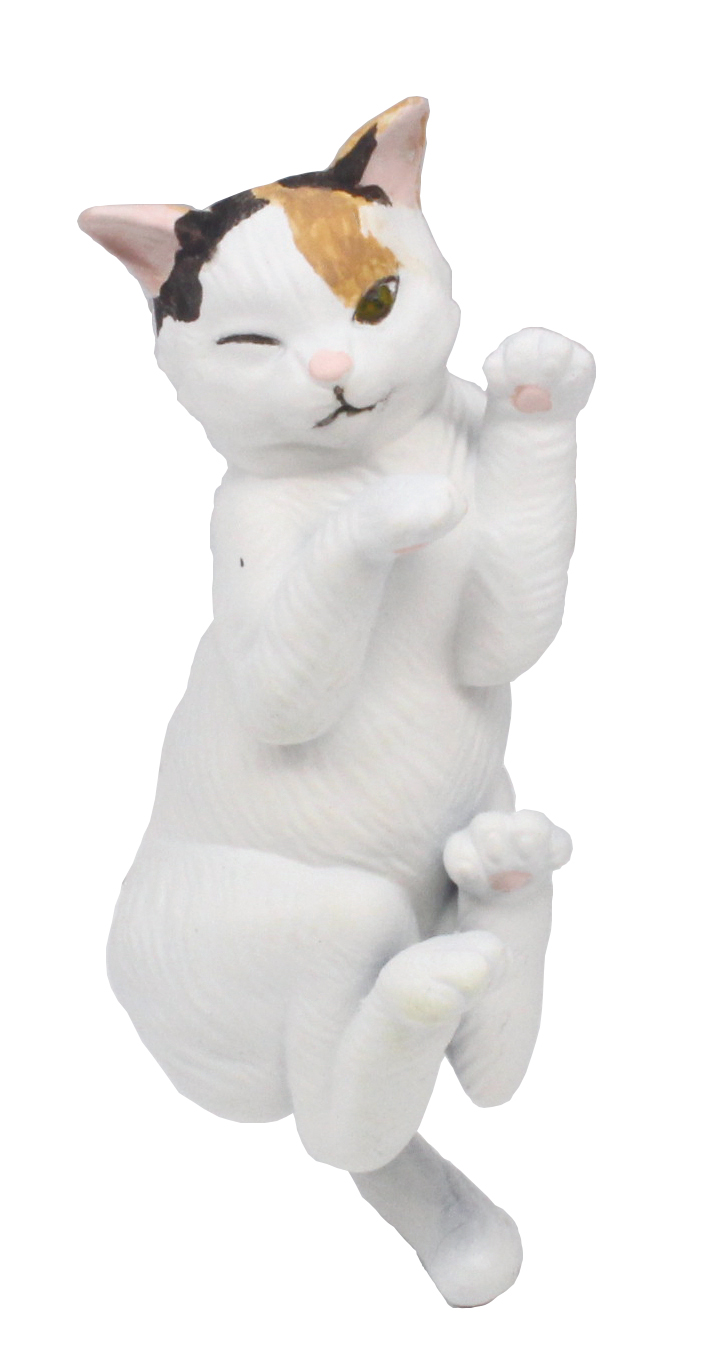 三毛猫