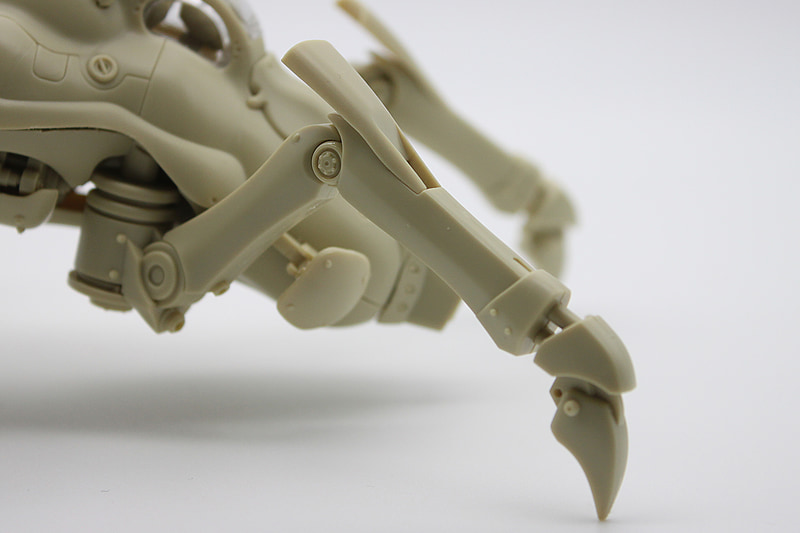 ちょっと引いて見てみると、長い脚がまた美しいです