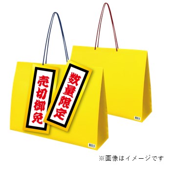 「LEGO ハッピーバッグ（男の子/女の子）」/販売価格：各5,999円（税込）（同店通常価格 男の子10,395円以上相当/女の子11,745円以上相当）※男の子/女の子それぞれ1家族1点限り