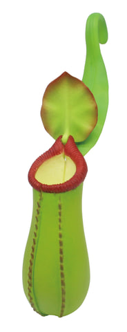 ラフレシアとウツボカズラがギミック付きガチャフィギュアに 巨大花と食虫植物 12月下旬発売 Hobby Watch