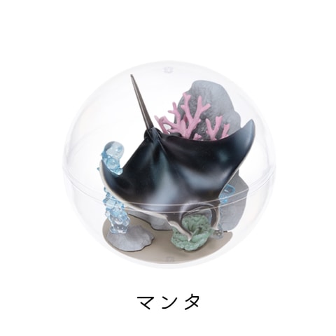 沖縄美ら海水族館とのコラボ「カプリウムコレクション」が11月21