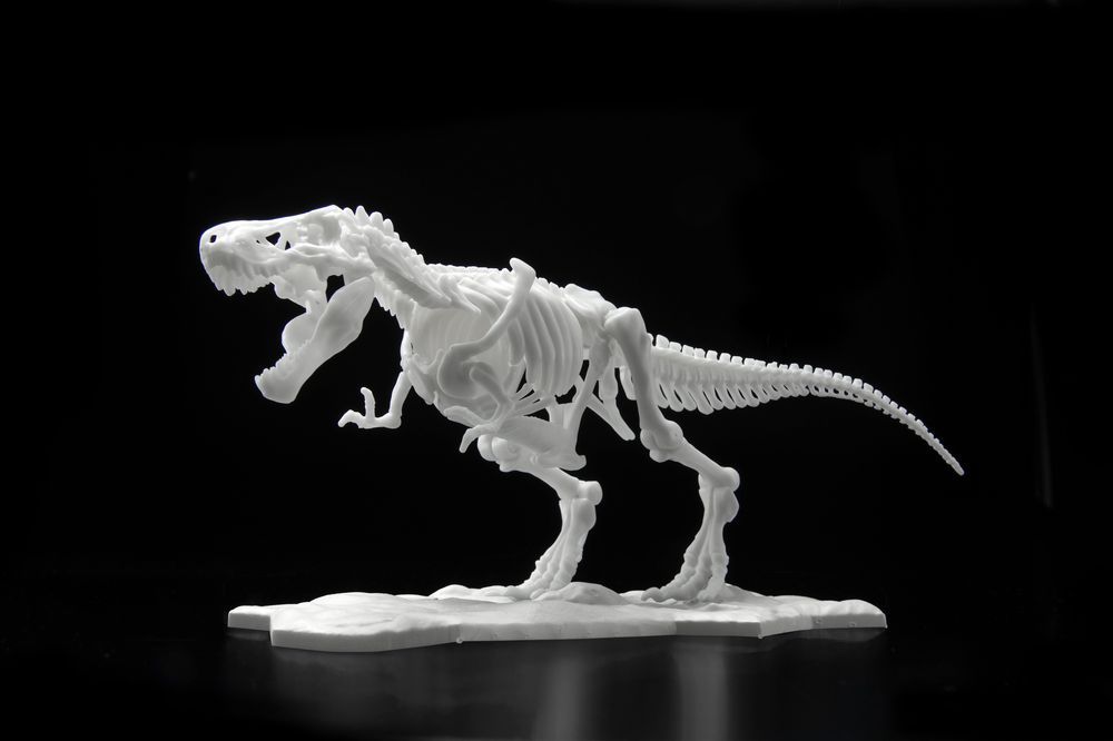 「恐竜骨格プラモデル ティラノサウルス」価格：1,540円（税込）