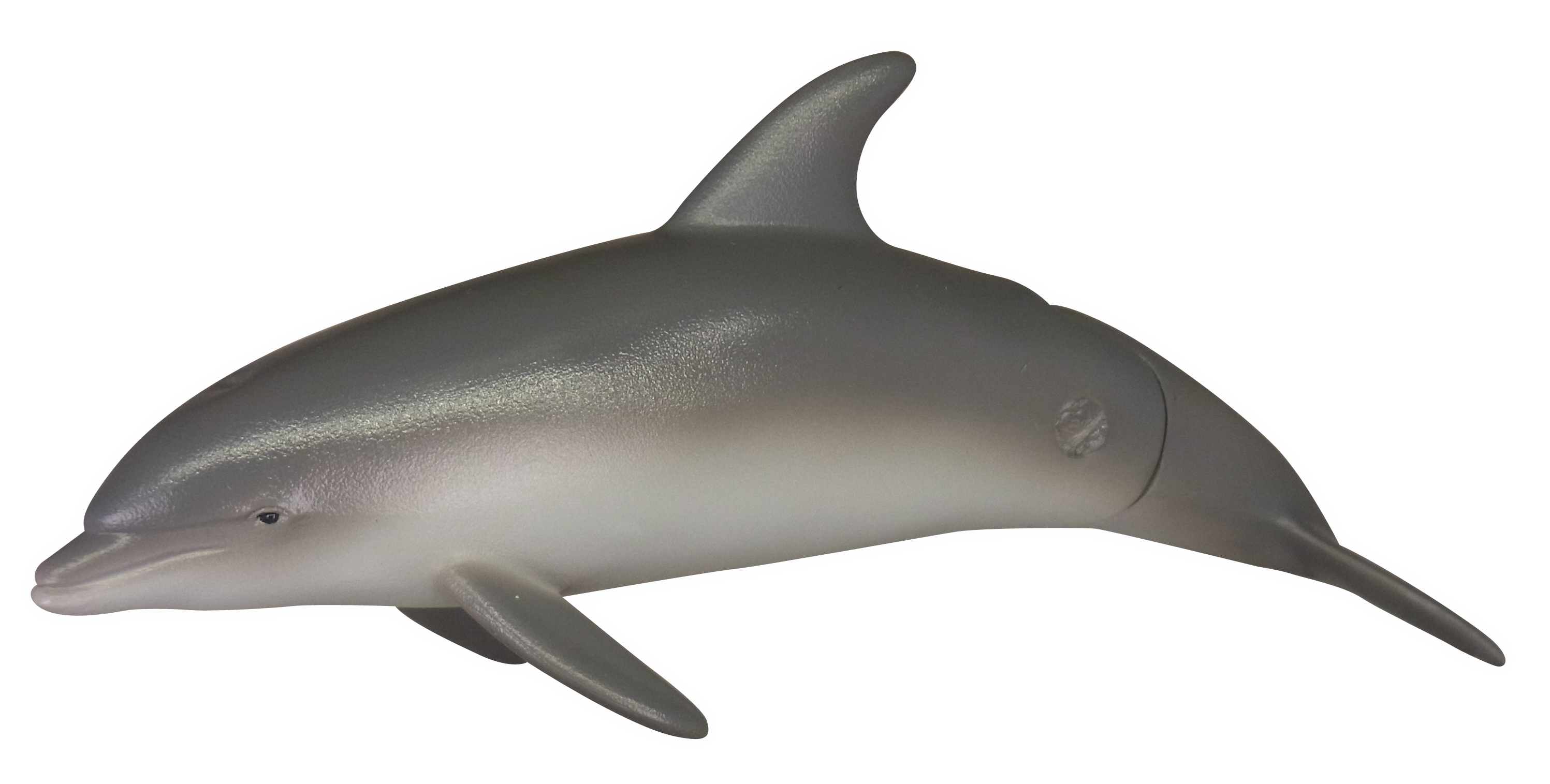 サイズは約75mm。尾ビレが動く