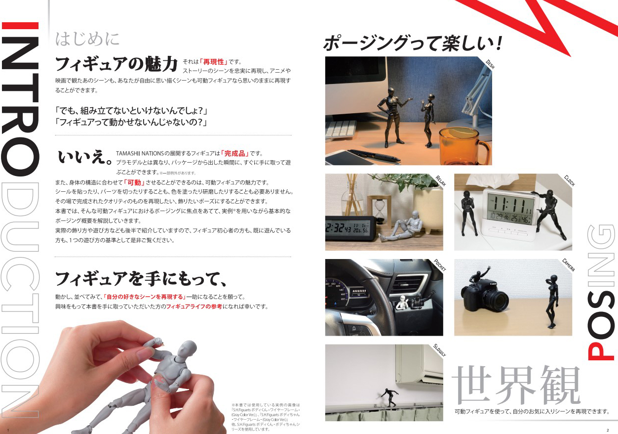 内容、ポーズのコツがよくわかる