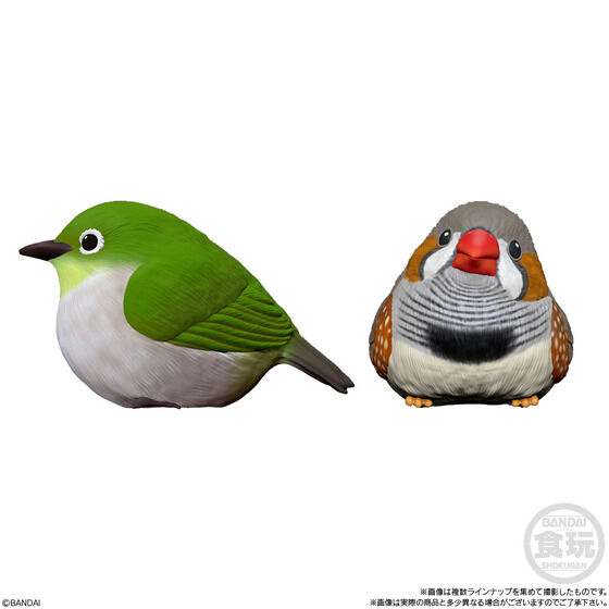 ・メジロ ・キンカチョウ