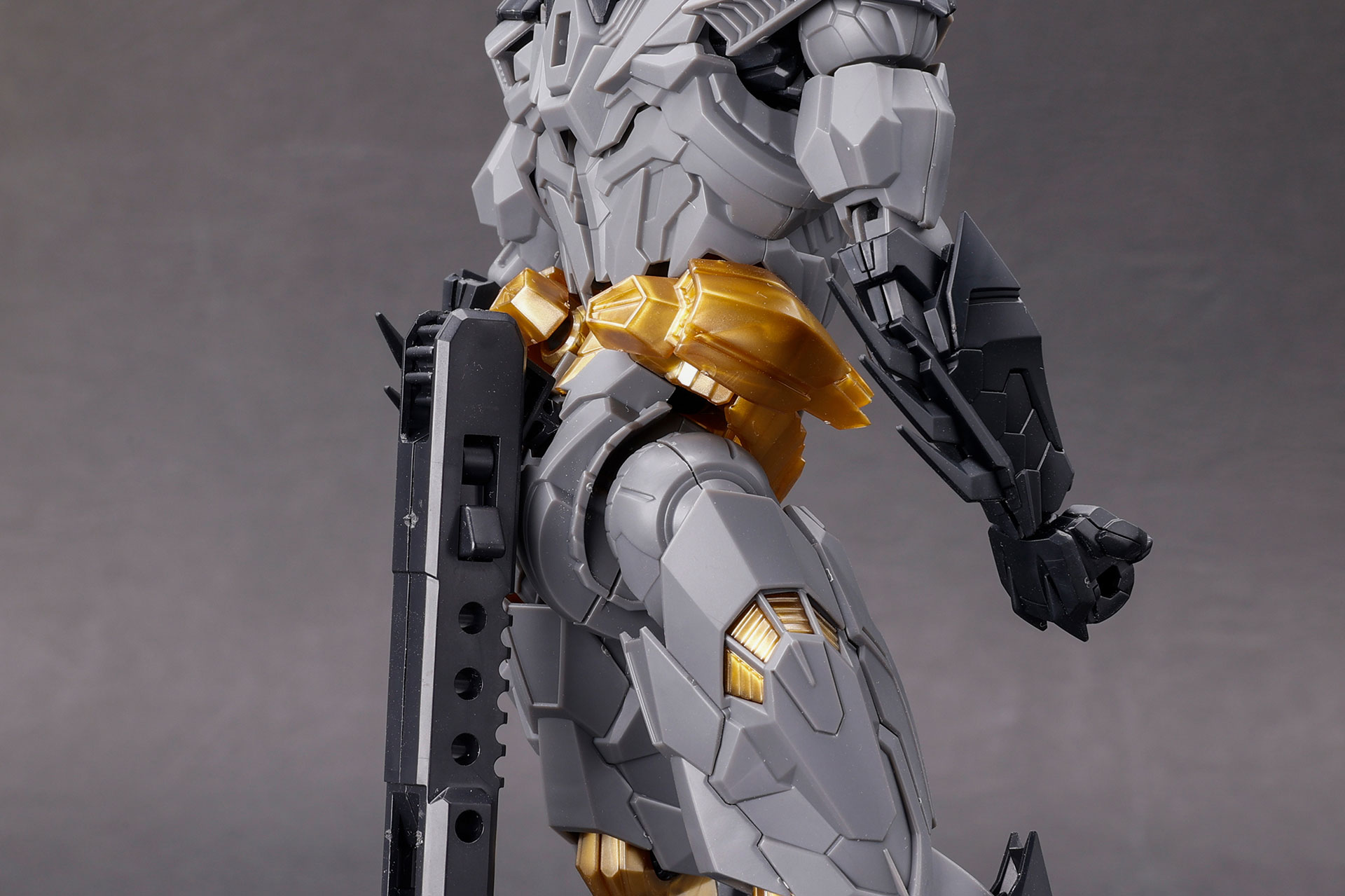 本体を支えるための別売りのアームは、このように取り付けることができます。