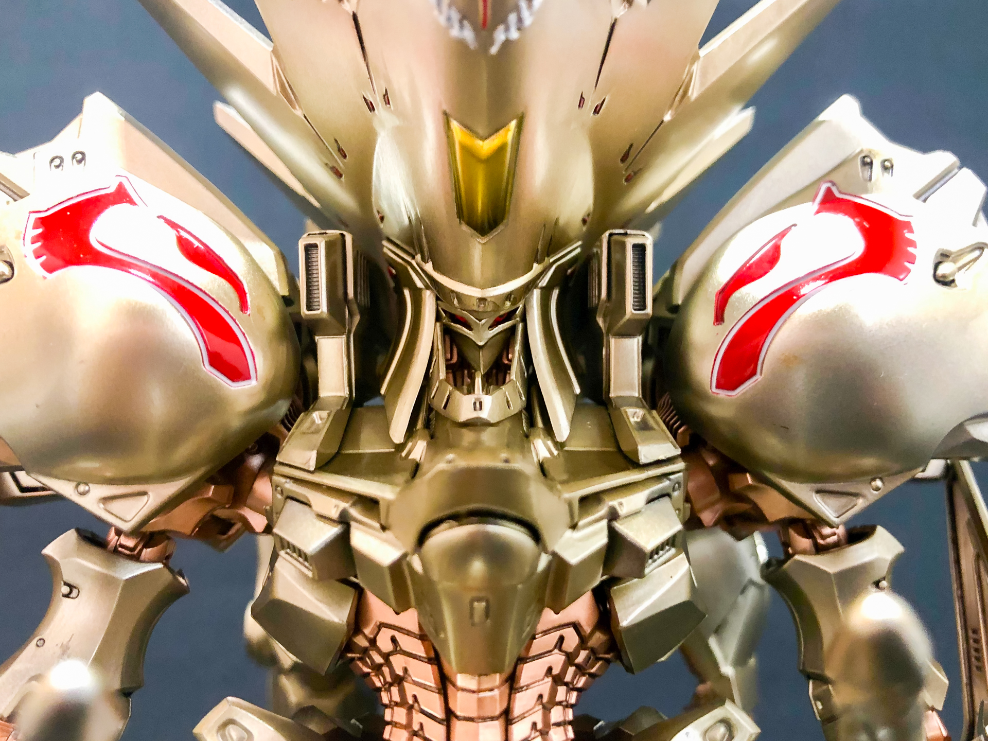 頭部正面。シャープなフェイスラインがとてもカッコいいです。