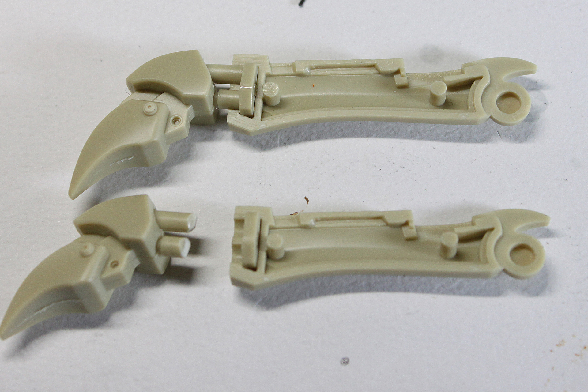 スネの構造。写真上を御覧ください。足先のツメは挟み込む構造です。