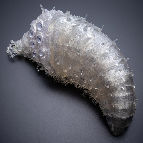 王蟲　フィギュア　菜園王蟲の抜け殻 王蟲 フィギュア 菜園王蟲の抜け殻 風の谷のナウシカ』王蟲の