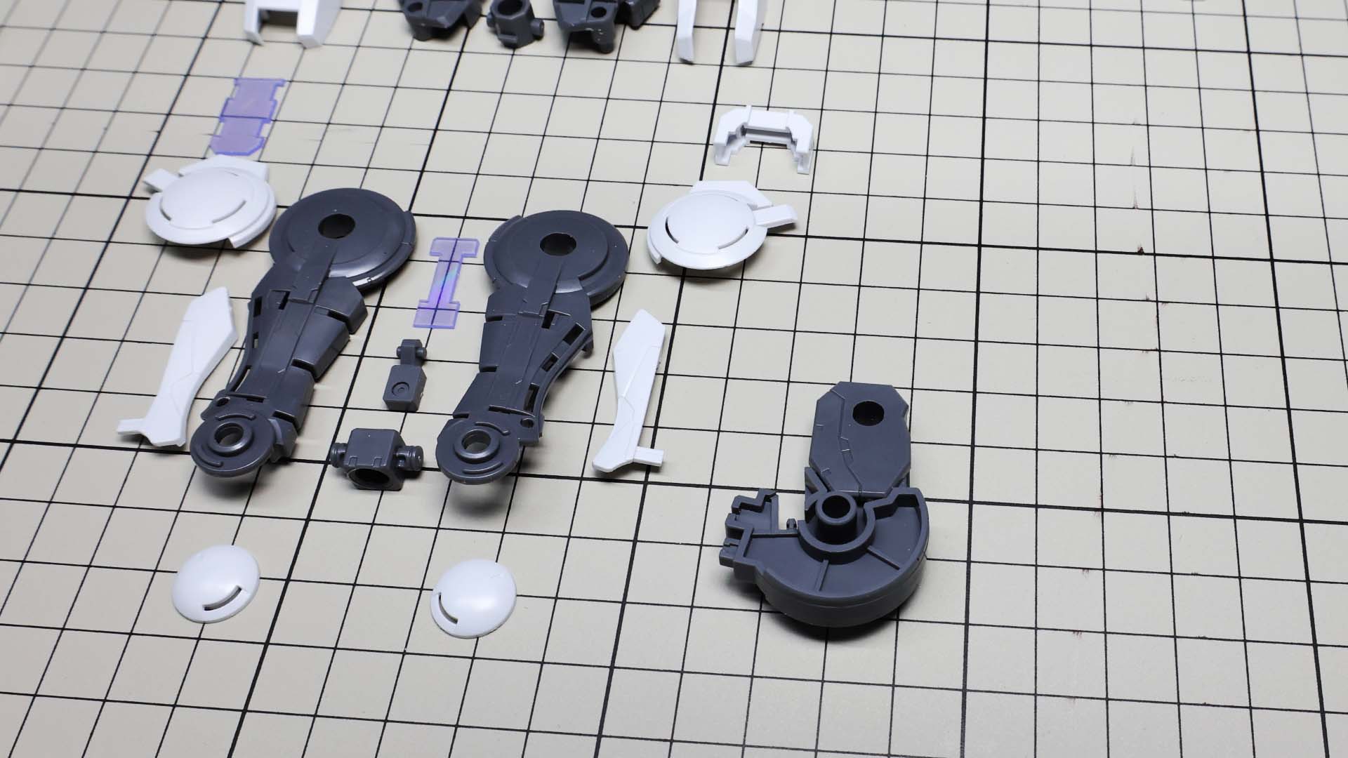 巨大で丸い膝関節を起点に……