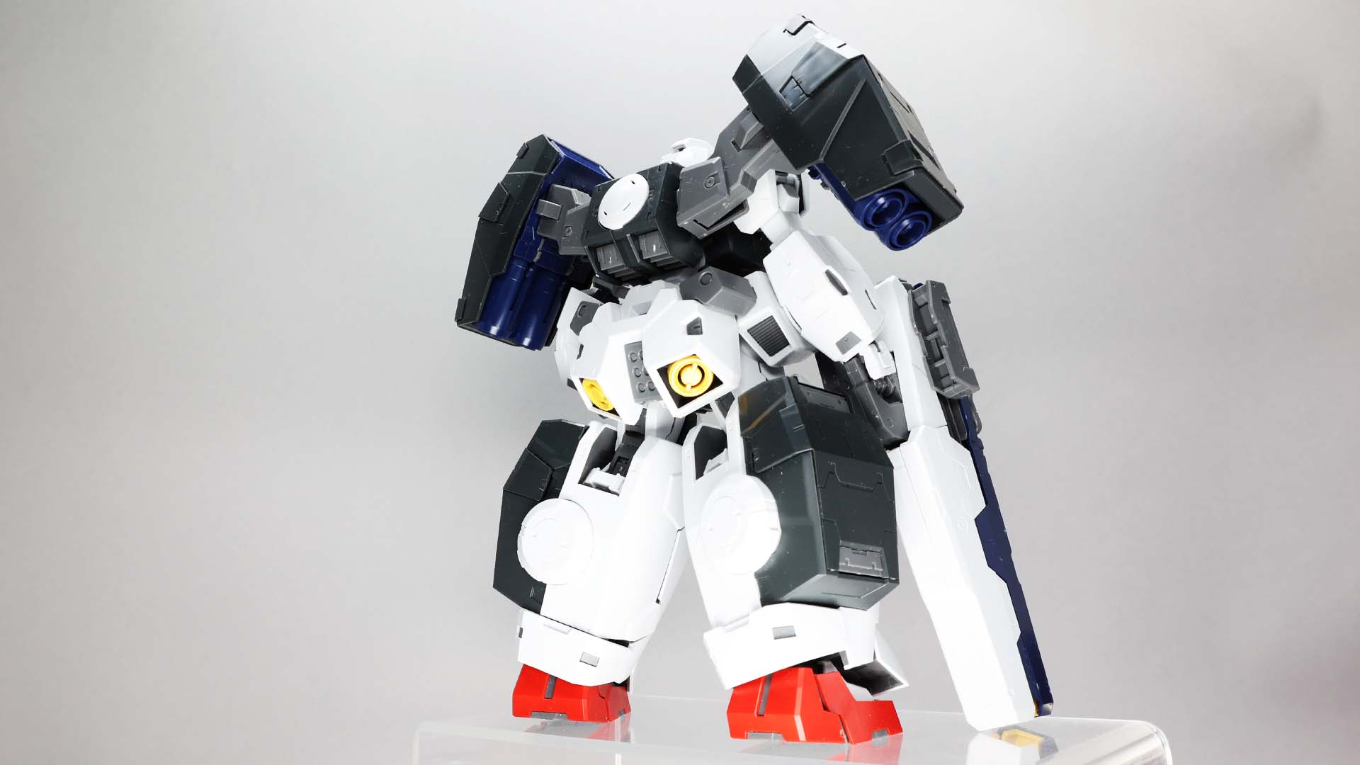 正面側はむっちり、背面側はがっちり感がただよいます