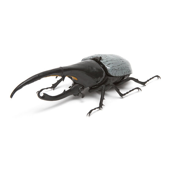 飛行状態のディスプレイイメージ