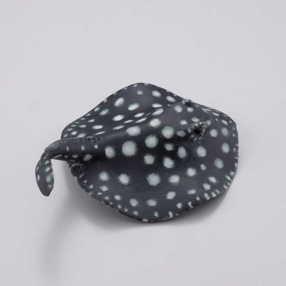 インディアンタイガーセンチピード