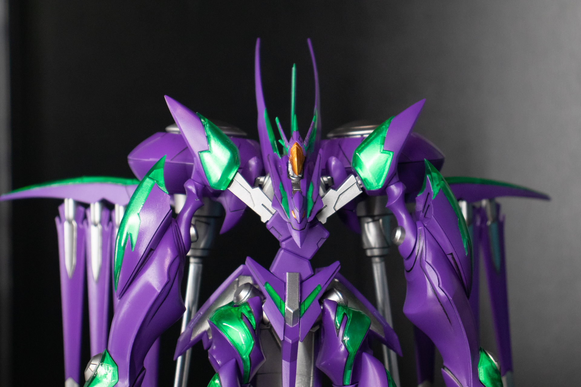 独特の形状を持つ手足